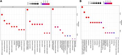 Screening of core genes and prediction of ceRNA regulation mechanism of circRNAs in nasopharyngeal carcinoma by bioinformatics analysis